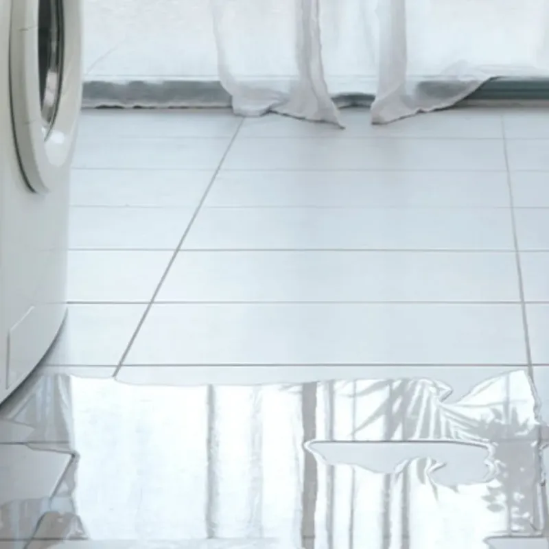 Appliance Leak Cleanup in Olympia, WA
