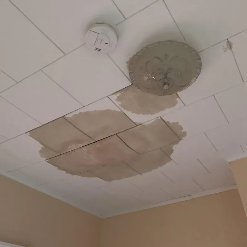 Ceiling Water Damage Repair in Olympia, WA