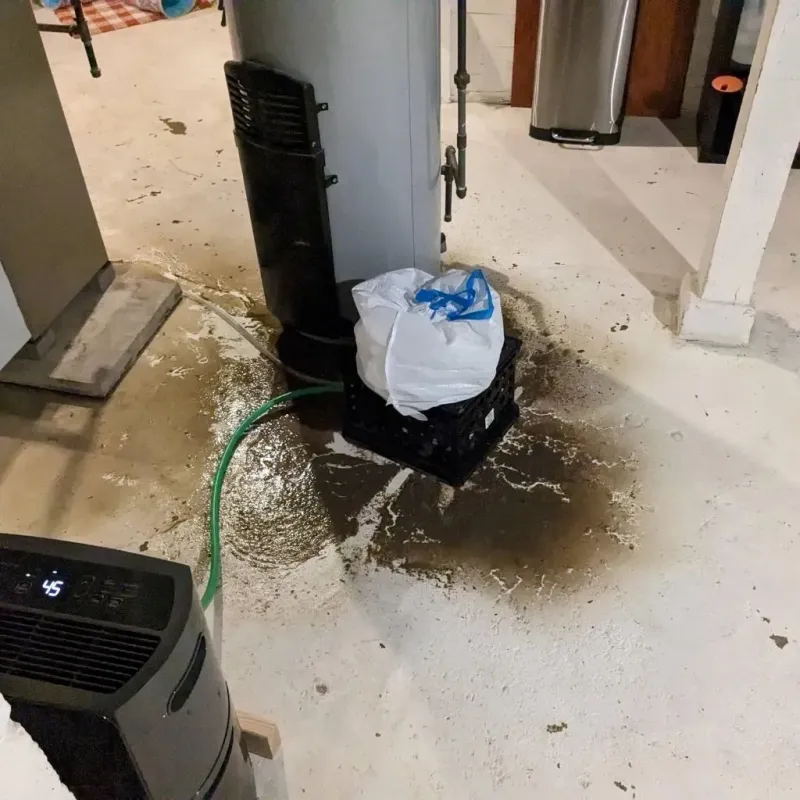 Sewage Backup Cleanup Service in Olympia, WA